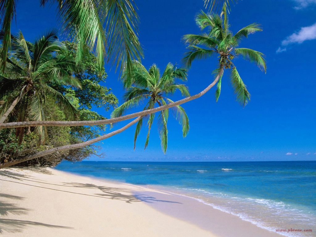 hawaiian-beach-hawaii