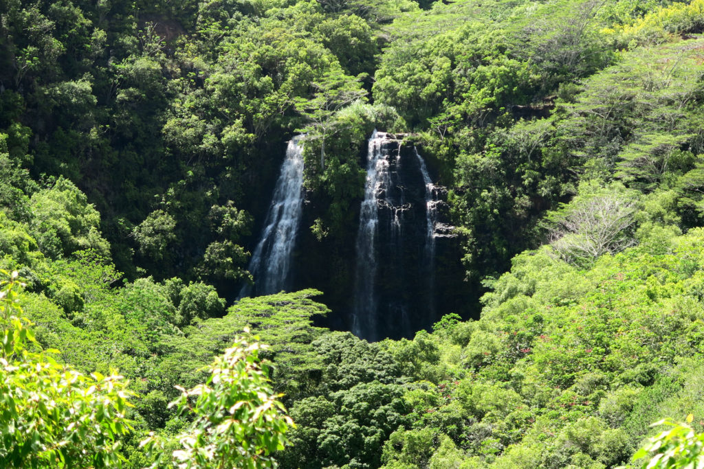 Opaekaa Falls