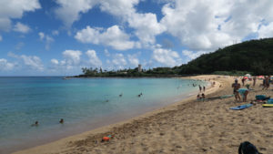 Waimea Beach Park